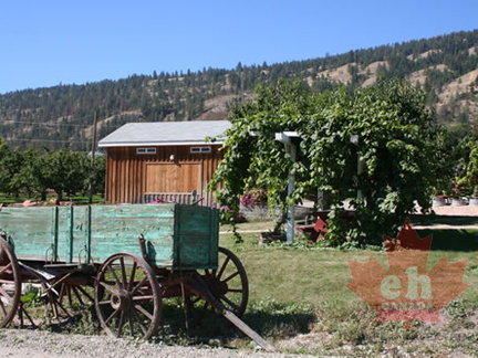 Farm Field Artifacts (827 visits) Pioneer wagon and tools in orchard. Artifacts in waiting. Farm Field Artifacts