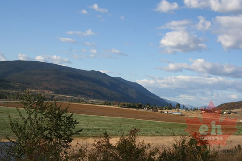 Fields in Winfield (804 visits) Farmers Field in Lake Country Farmers Fields in Lake Country Fields in Winfield