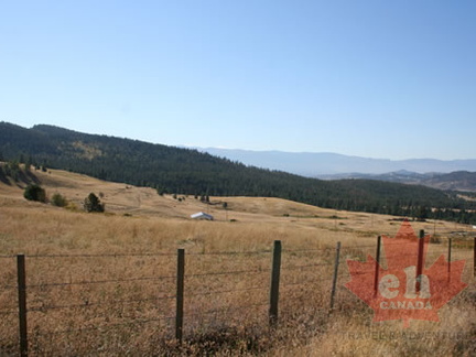 Fencing for Cattle. (876 visits) Farm house and fields in Winfield Farm house in Winfield. Fencing for Cattle.
