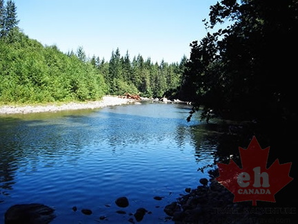 Oyster River (911 visits) Fishing river in region Oyster River