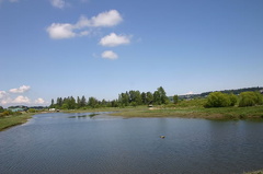 comox_valley 052.jpg