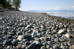 comox_valley 064.jpg