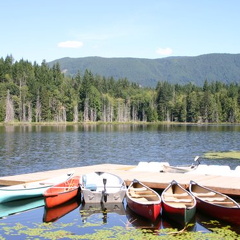 Canoes (1051 visits, rating score 3.42) Canoes tied up at dock Canoes