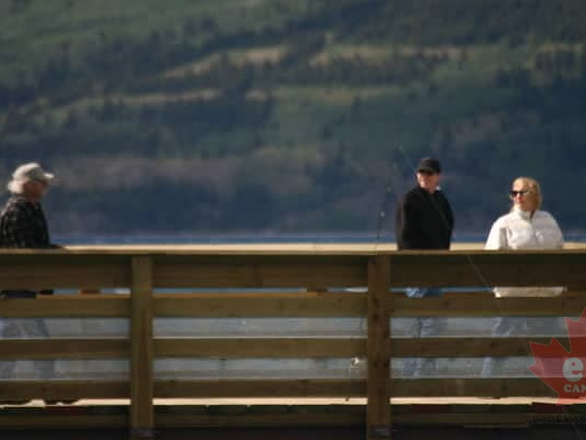 Nice day for a walk (2176 visits) Exploring the Carcross Footbridge Nice day for a walk