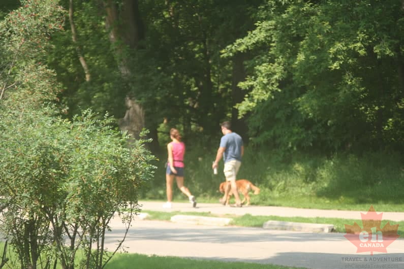 trail-dog-walking-67 (414 visits) trail-dog-walking-67