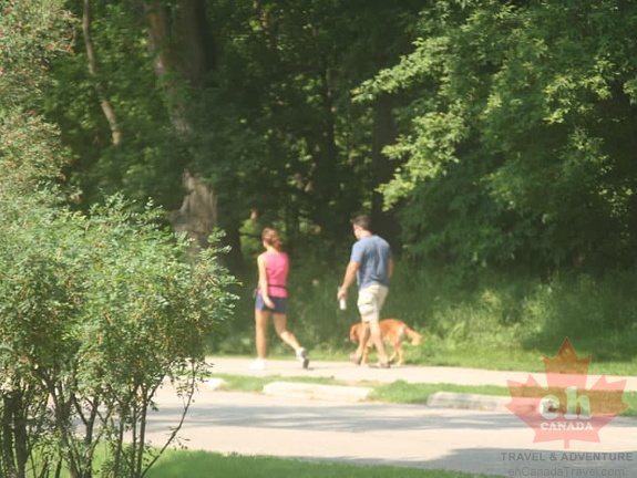 trail-dog-walking-67 (414 visits) trail-dog-walking-67