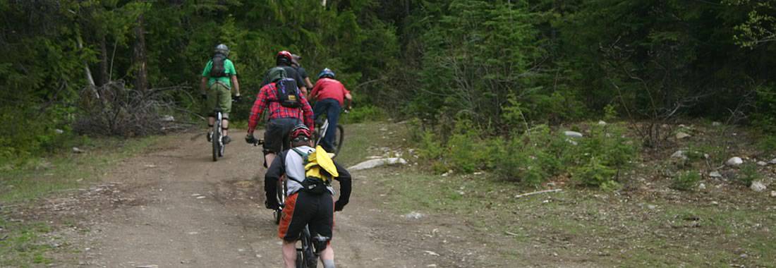 Friends on a Mountain Bike Adventure