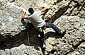 Yukon Canada Rock Climbing