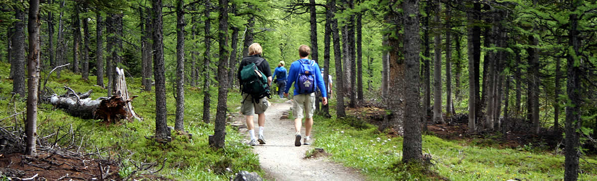Hiking & Backpacking in Alberta Canada