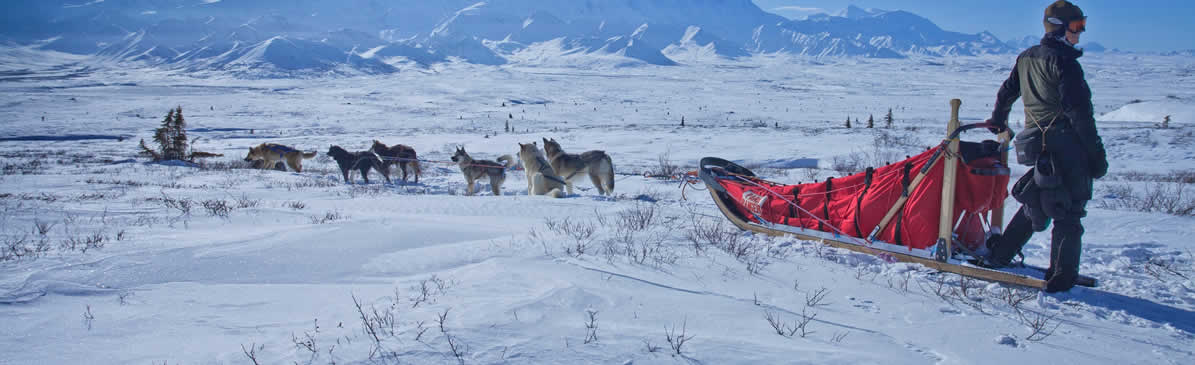 canada attractions tours guides dog sledding