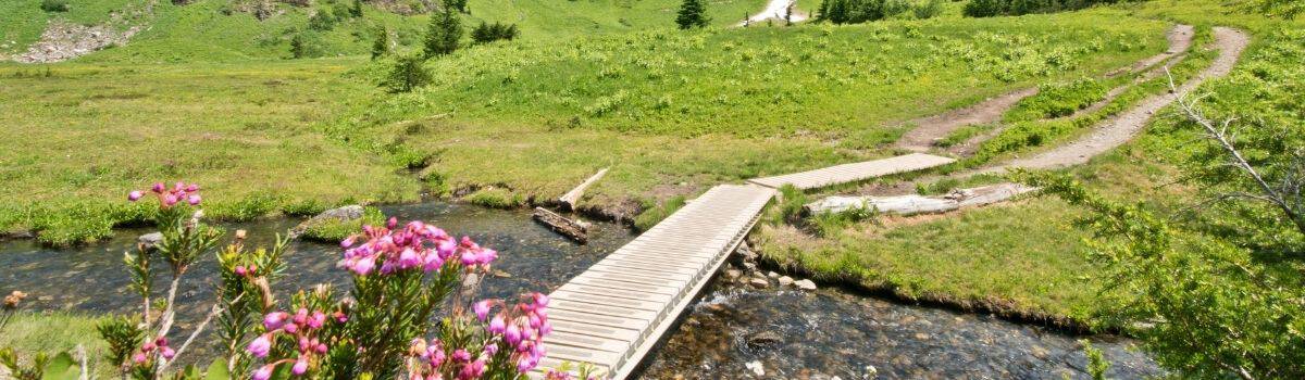 Chilliwack BC Canada Adventures Travel Guide in the Lower Mainland 