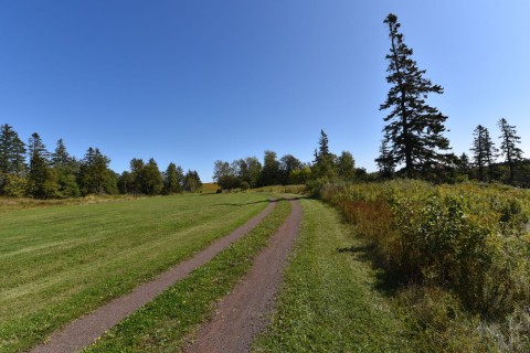 A peaceful section of Prince Edward Island’s Confederation Trail highlights why PEI offers some of the best cycling on the Trans Canada Trail, with smooth surfaces, quiet countryside, and beginner-friendly touring routes.
