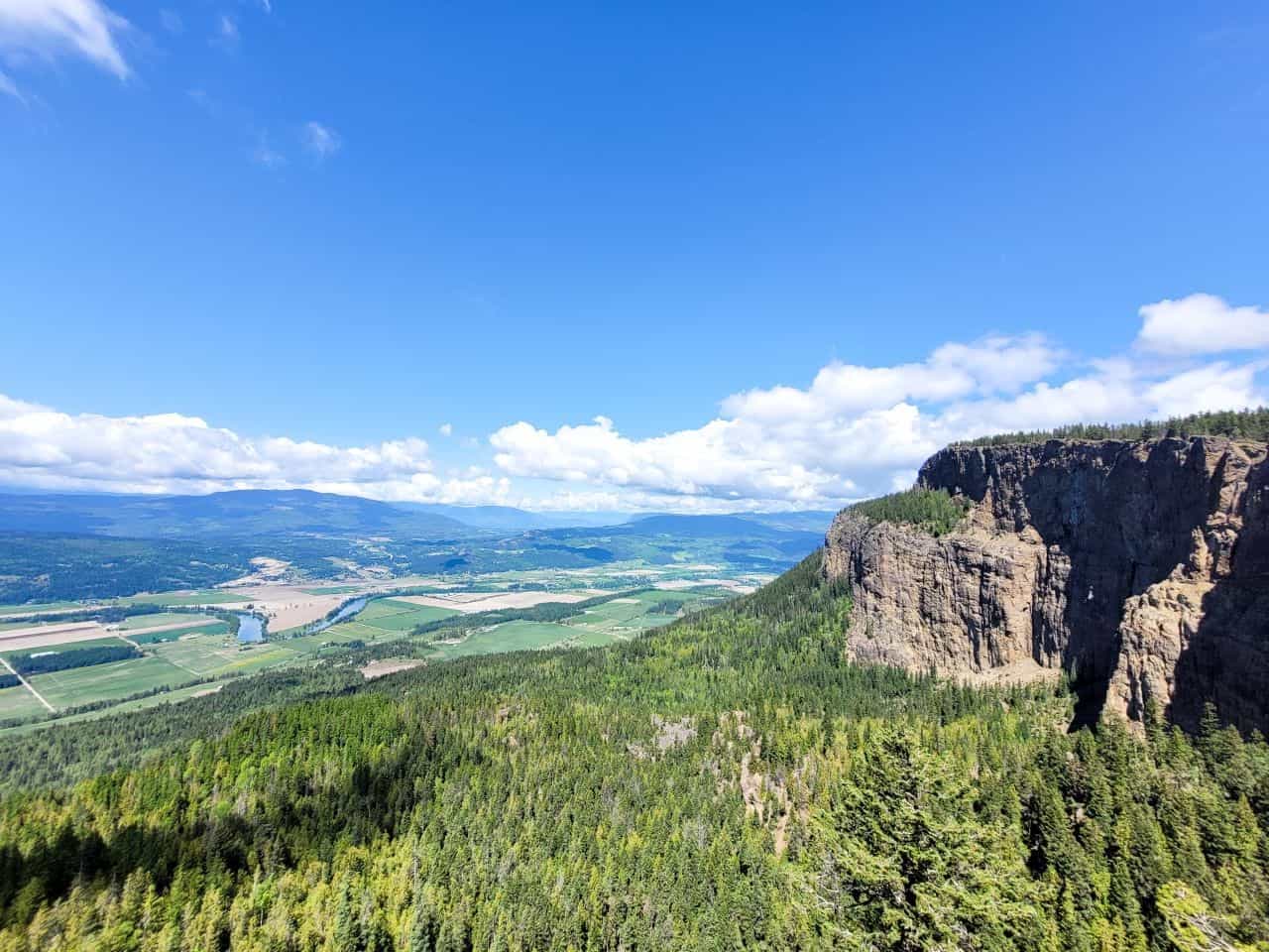 Viewpoint at Enderby Cliffs in the spring