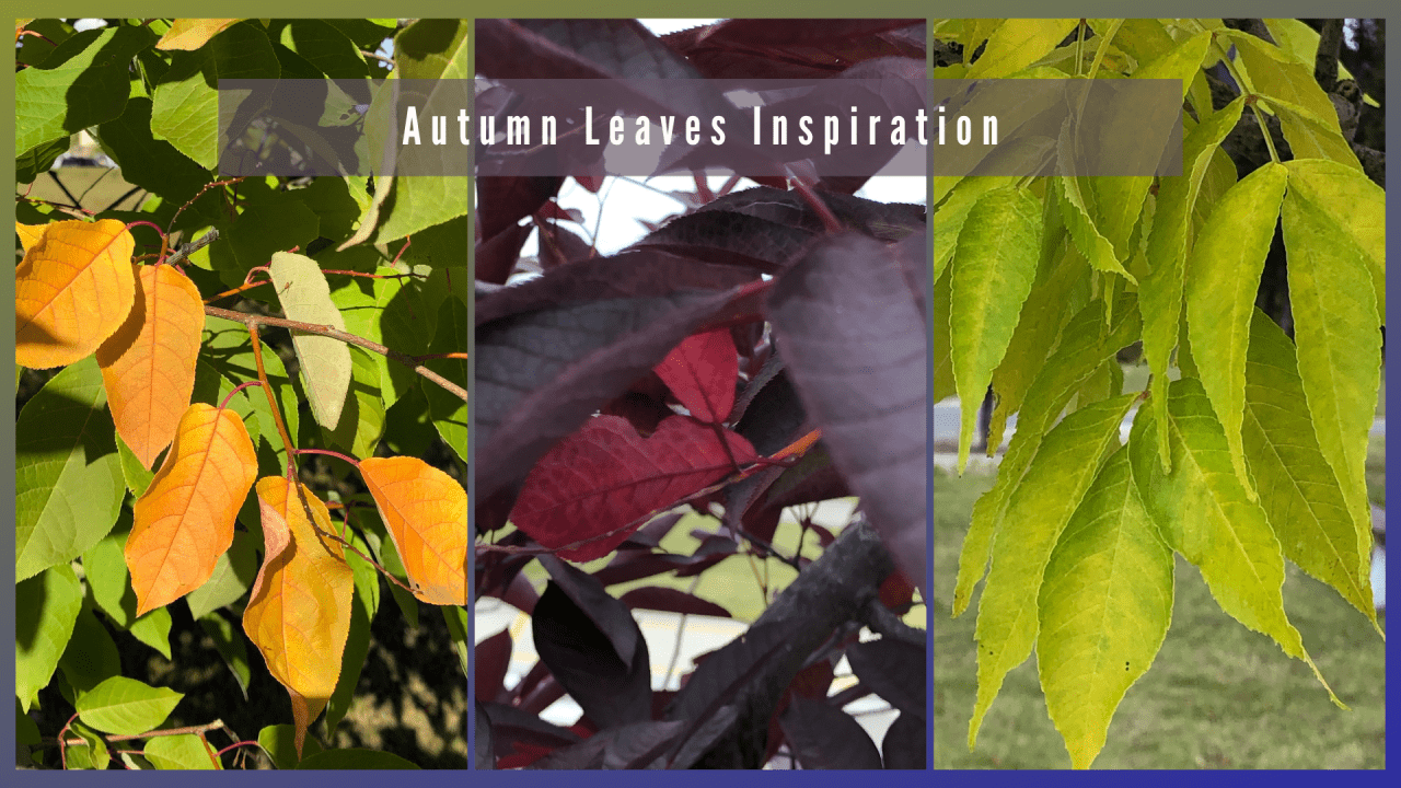 North BC artists use Autumn Leaves for Inspiration