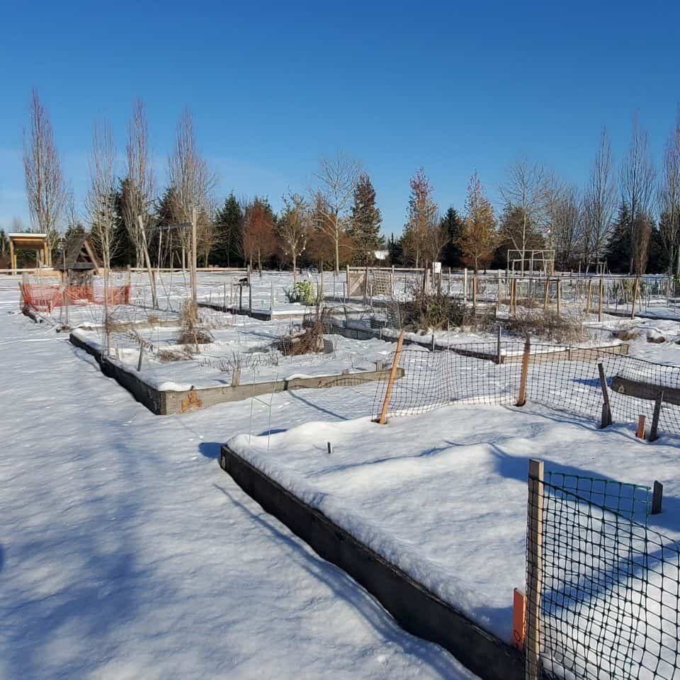 Community garden plots