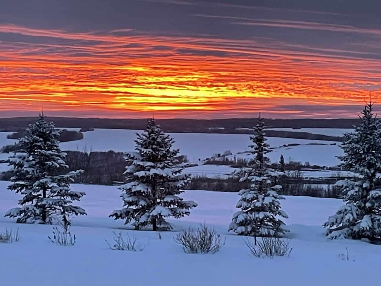 winter landscape with trees and glowing sky in orange and yellow