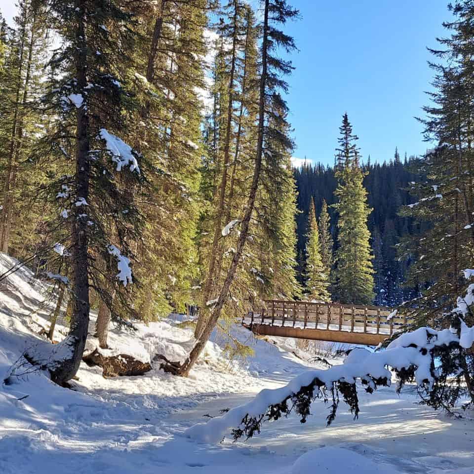 A bridge crossing a frozen creek