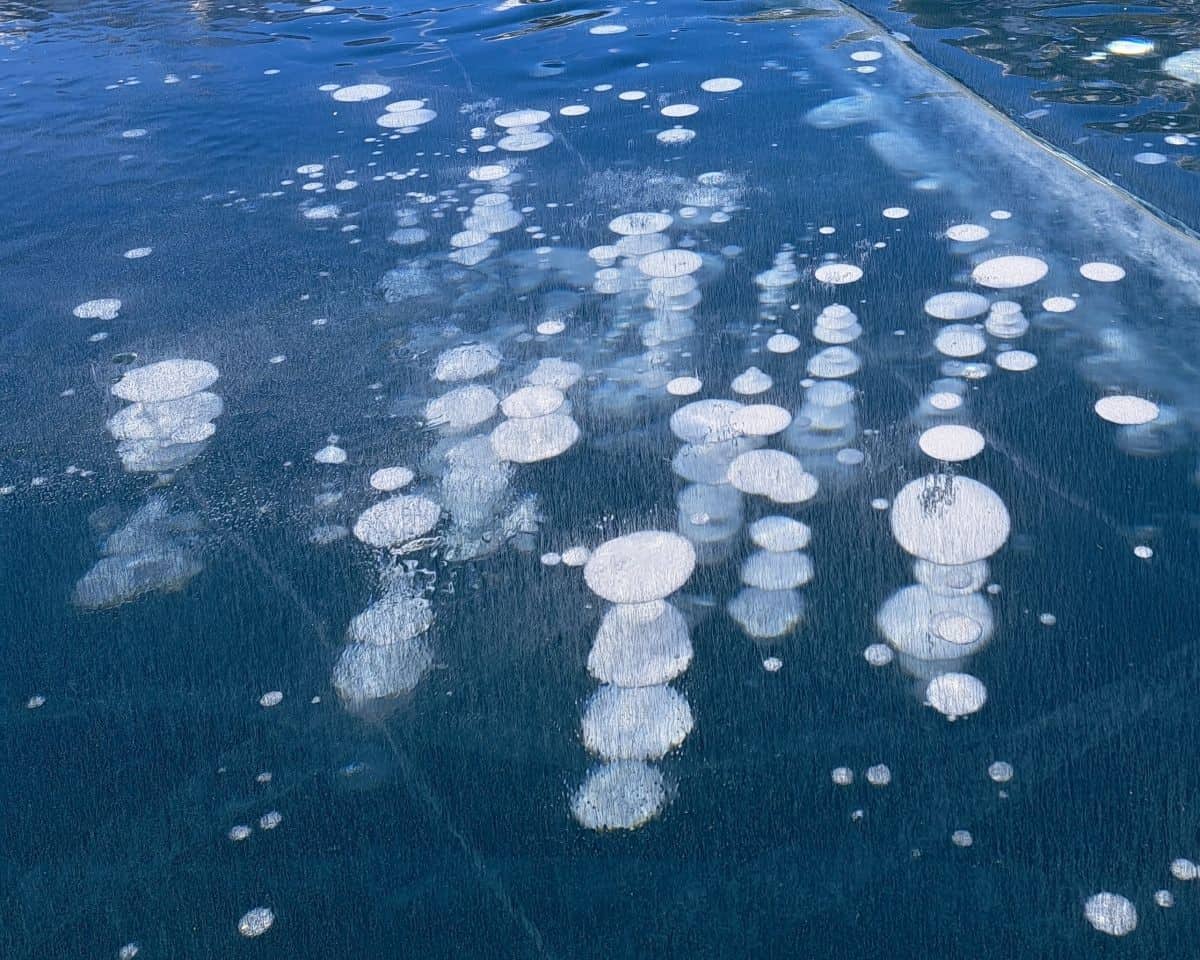Frozen methane bubbles at Abraham Lake Alberta Canada