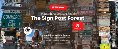 The Sign Post Forest - Watson Lake Yukon Canada