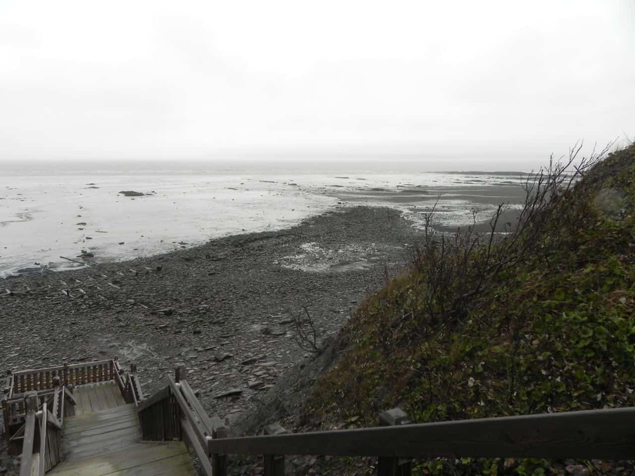 To discover fossils at Joggins Cliffs is an adventure. Well worth the road trip to this location in Nova Scotia.