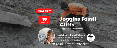 Joggins-Fossil-Centre-Nova-Scotia-Canada