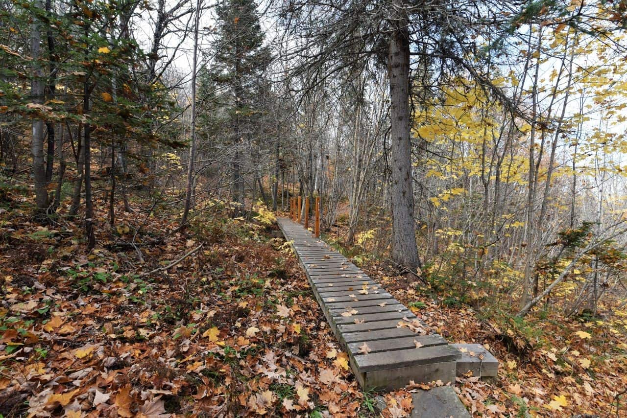 Forested footpath in Baie-Saint-Paul, Quebec named after famous Quebecoise author Gabrielle Roy