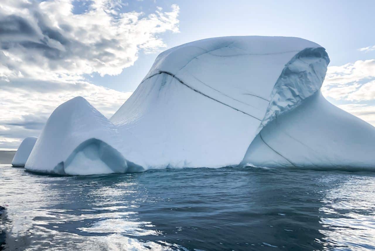 Newfoundland icebergs can live up to 3000 years old. It is possible that volcanic ash from centuries gone by get 
lodged in a berg.