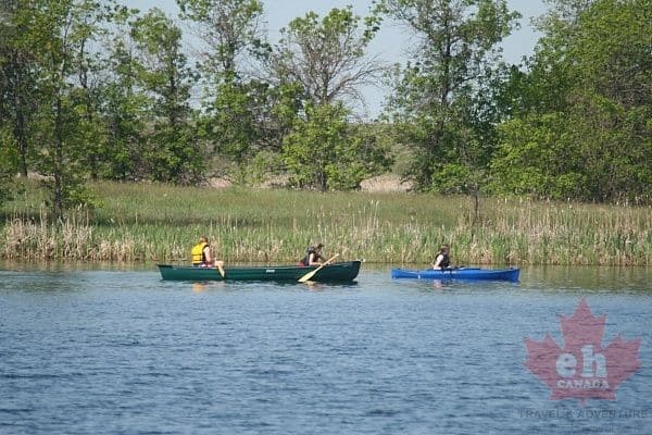 Our list of Summer Road Trip Ideas near Calgary Alberta Canada starts with Park Lake Provincial Park.