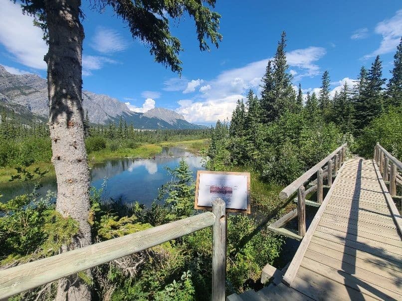Many Springs Trail is in Bow Valley Provincial Park is a great easy hiking destination for nature lovers.