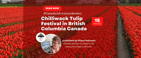 Chilliwack-Tulip-Festival