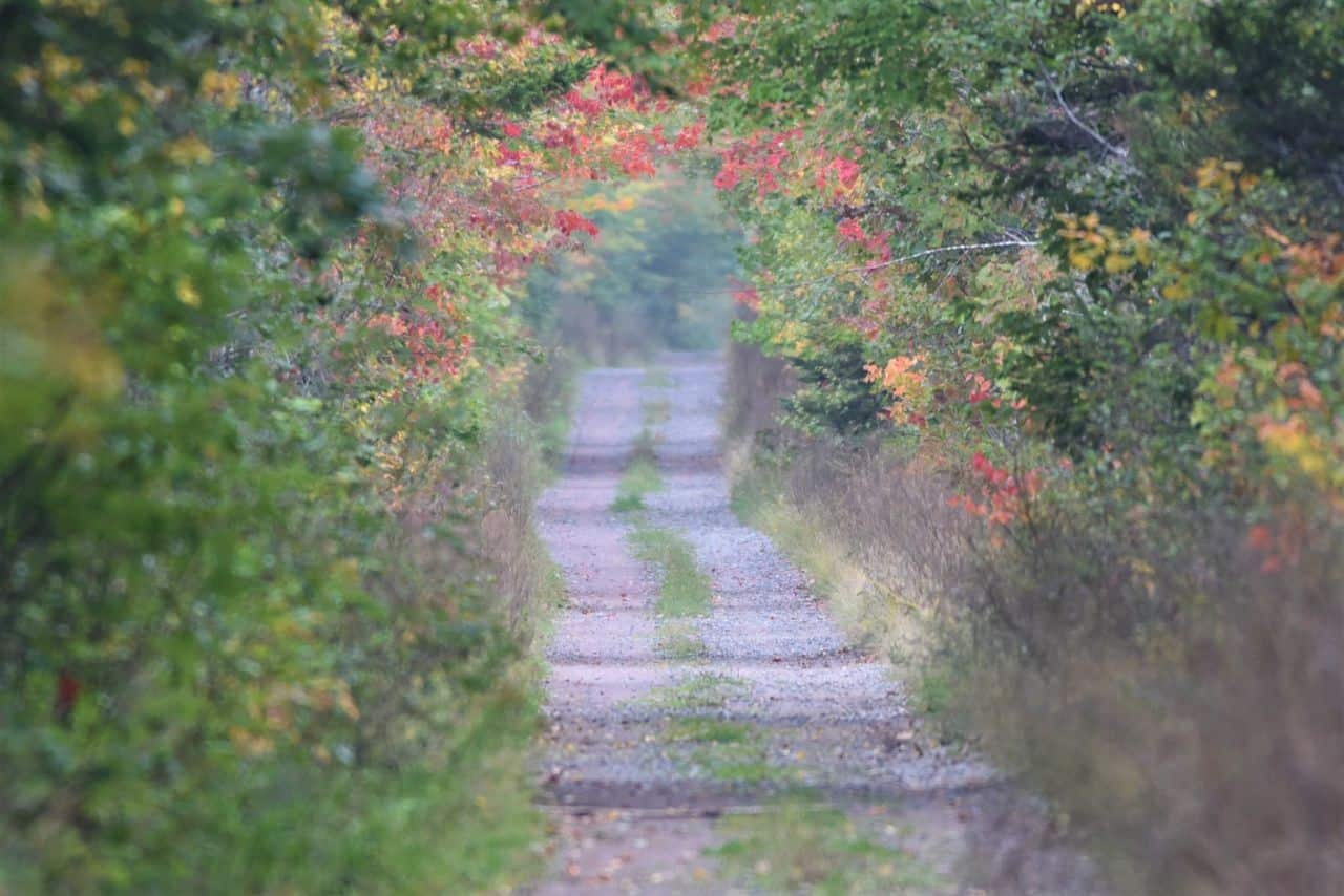 Autum is a great time to enjoy the colours along The Marshes Trail, NB, Canada