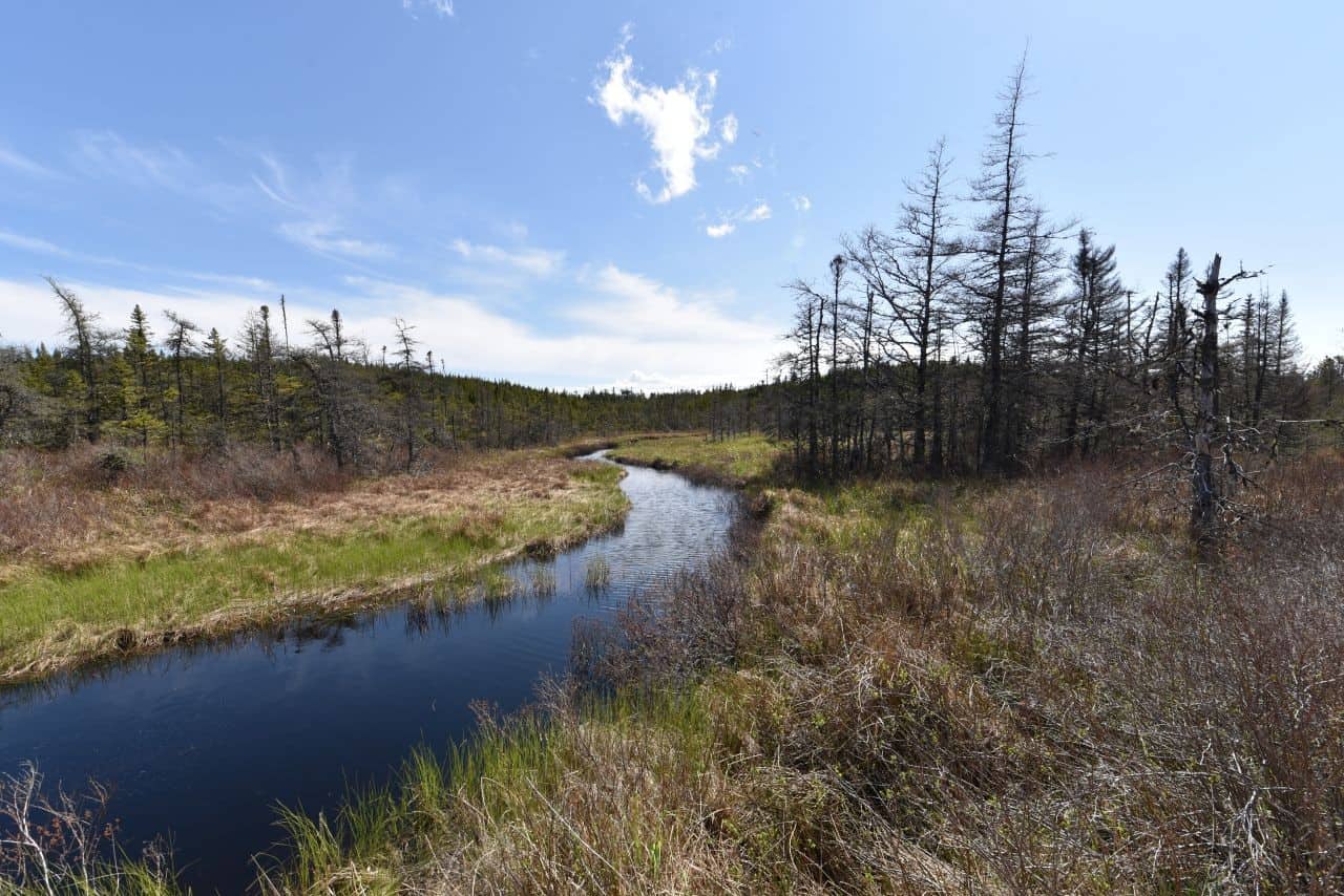 Boreal rivers provide water for hikers and ATVers along the T'Railway Trail, Newfoundland