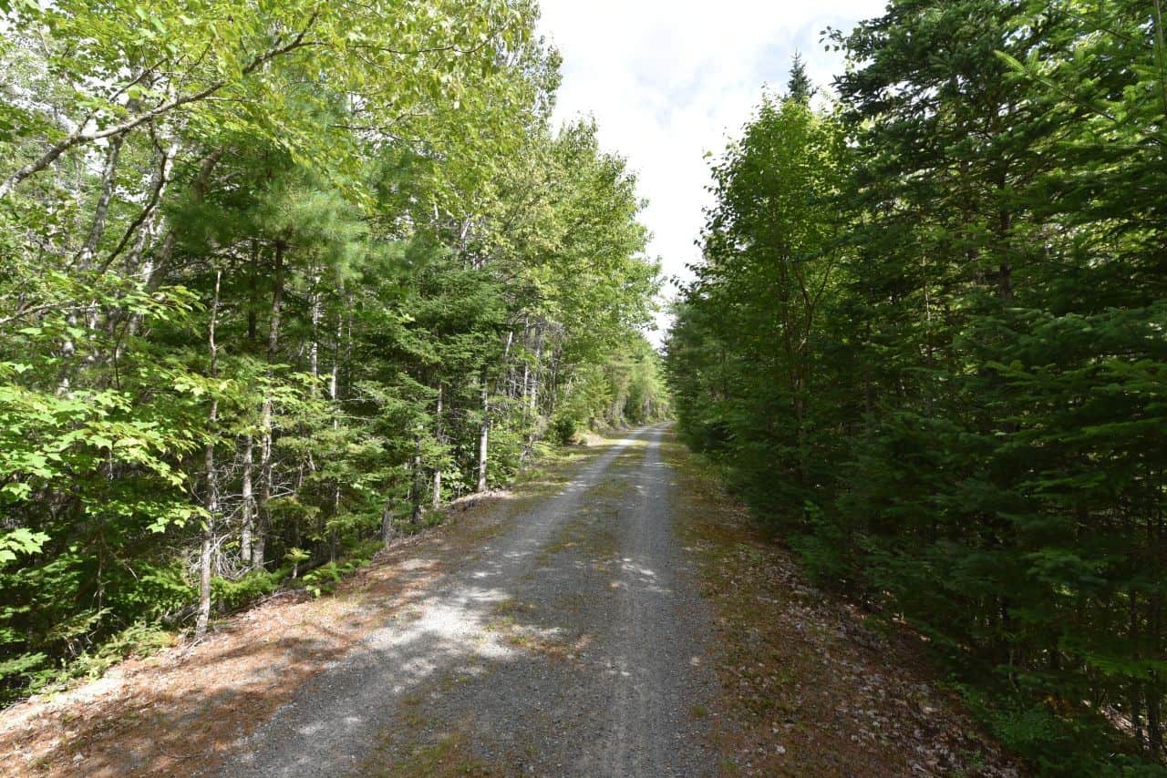 The Musquodoboit Trail is a rail trail, meaning it is wide, relatively flat, and a favourite of hikers and cyclists alike