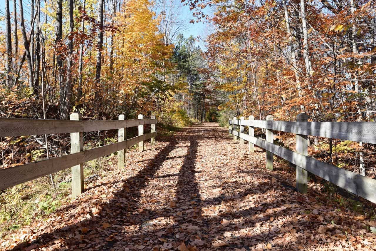 Riverfront Trails of Fredericton, New Brunswick enjoy some of the best Autumn colours in Canada when hiking.