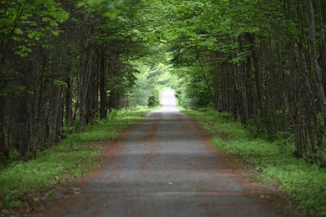 Unpaved sections of the highly developed P'tit Train du Nord bike trail take cyclists through beautiful forested countryside of rural QC, Canada