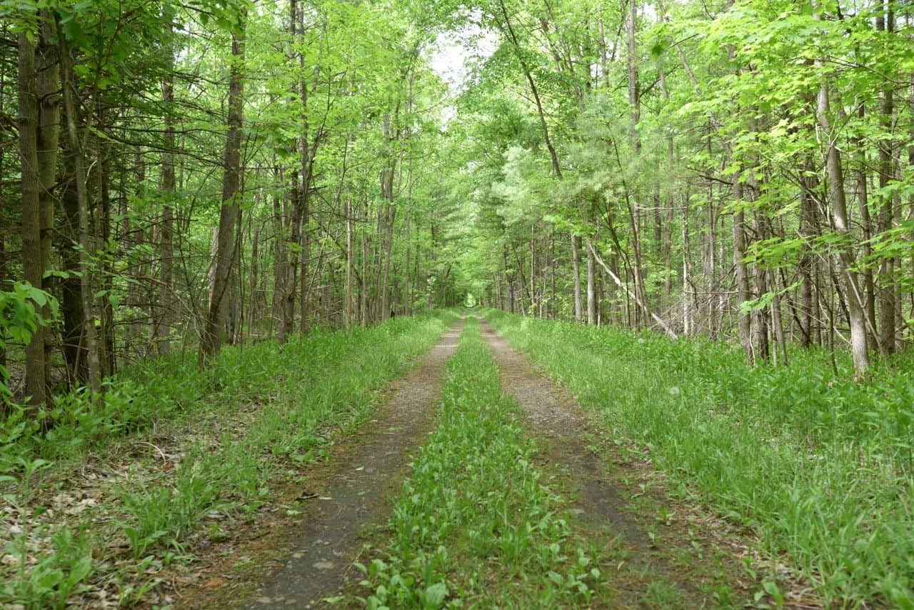 The Cataraqui Trail is one of the best trails in Ontario to experience nature while hiking or biking the Trans Canada Trail.