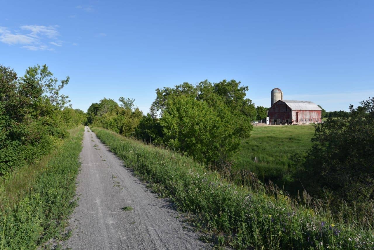 The Kawartha Trans Canada Trail takes hikers and cyclists through rural landscapes in Ontario, Canada