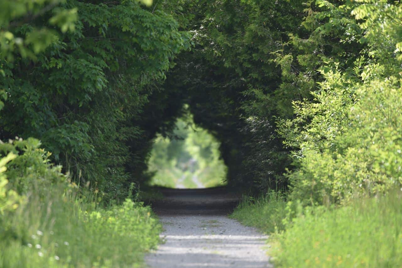 The Kawartha Trans Canada Trail is one of the top hiking and biking trails in Ontario, Canada