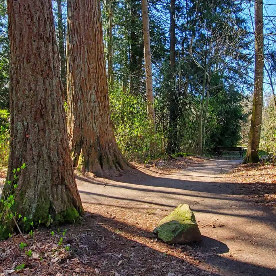 Over 5 kilometers of trails among mature trees. There are 6 groves of trees in the park including Giant Sequoia and European Ash.