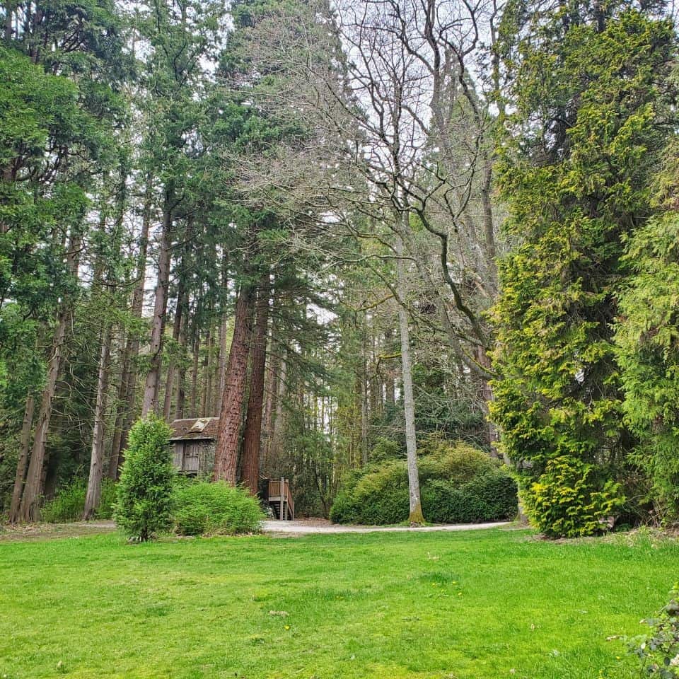 Enjoy exploring over 5 km of scenic nature trails. Fifty species of trees can be found in Redwood Park, Surrey, Canada.