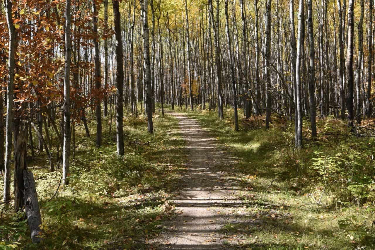 Autumn is the perfect time to walk or cycle the Trans Canada Trail in Pinawa, Manitoba, Canada to enjoy the fall colours.