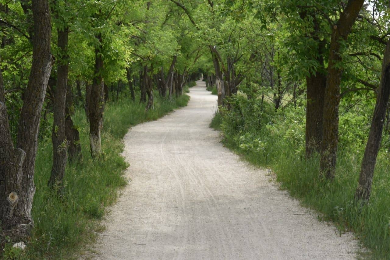 The City of Winnipeg trails are some of the best hiking trails in Manitoba Canada because they give hikers and cyclists opportunities to connect with nature in the city.
