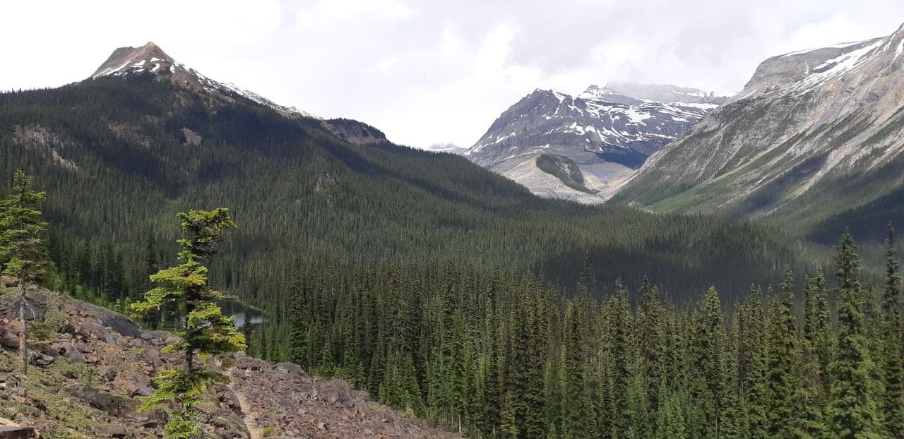 Spectacular views of Yoho Valley and the Rocky Mountains from Marpole Hiking Trail.