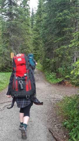 Heading out for the start of a multiday backcountry hiking trip on the Laughing Falls Trail in Yoho National Park BC Canada