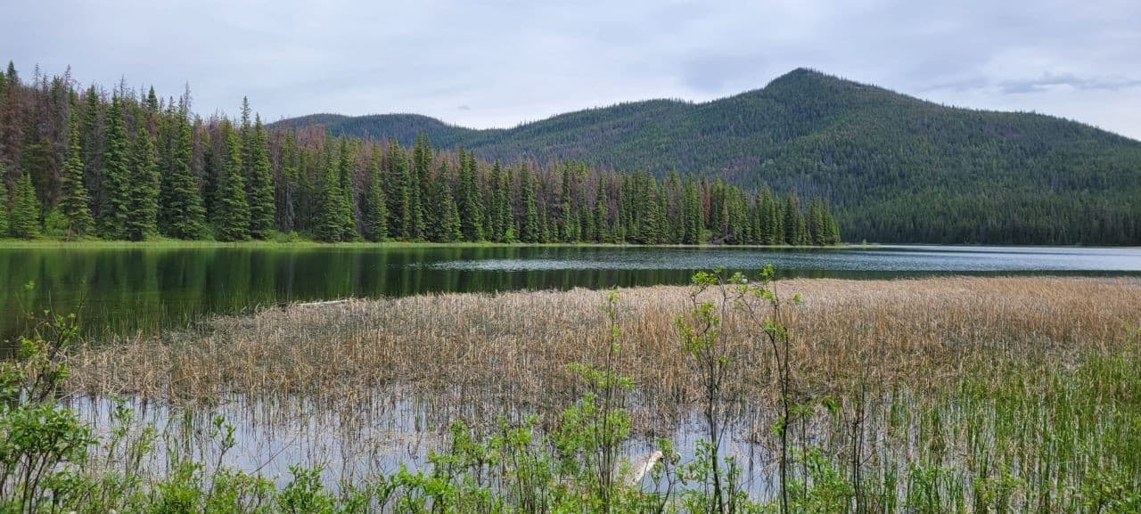 Emerald green waters of Celestine Lake in Jasper National Park's backcountry