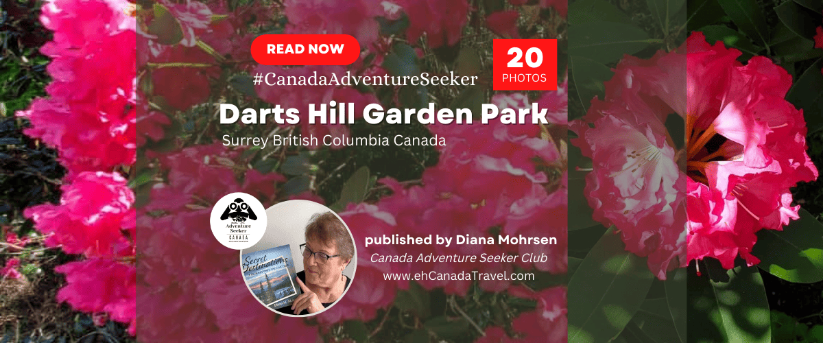 Darts-Hill-Garden-Park