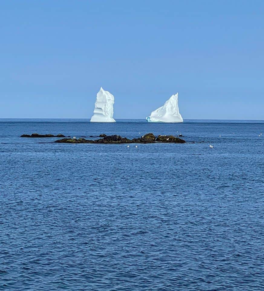 Icebergs bergs ice ancient iceberg alley ocean sea icy natural glacial glacier Ferryland nl Newfoundland Canada