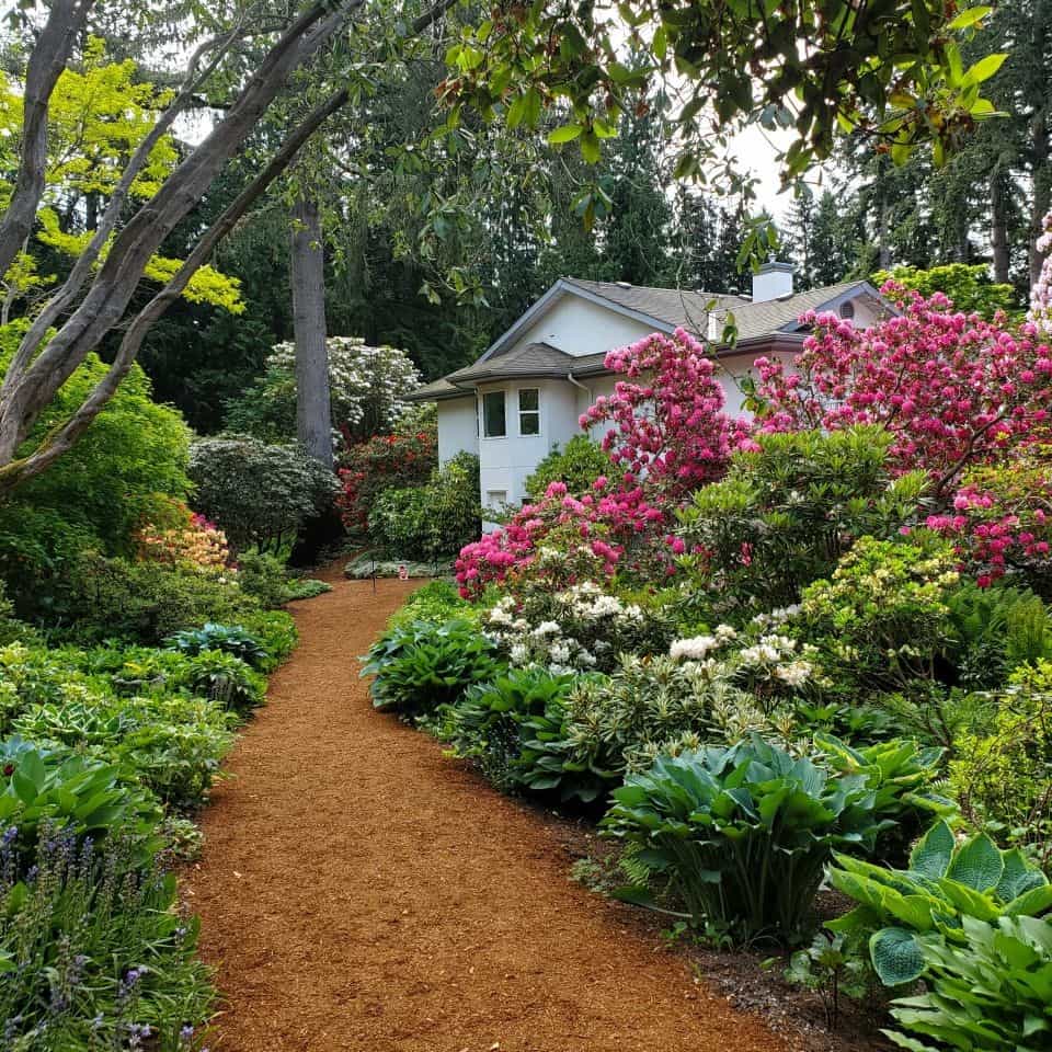 The private home on the property is kept private with small barricades. Everywhere the mature rhododendron and azaleas are in full bloom.