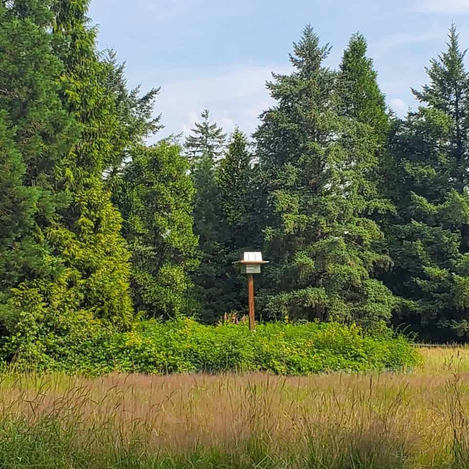 Birdhouses help attract and give shelter to birds. Meadows provide the food. Birdwatchers will enjoy a stroll through this park in Surrey BC.