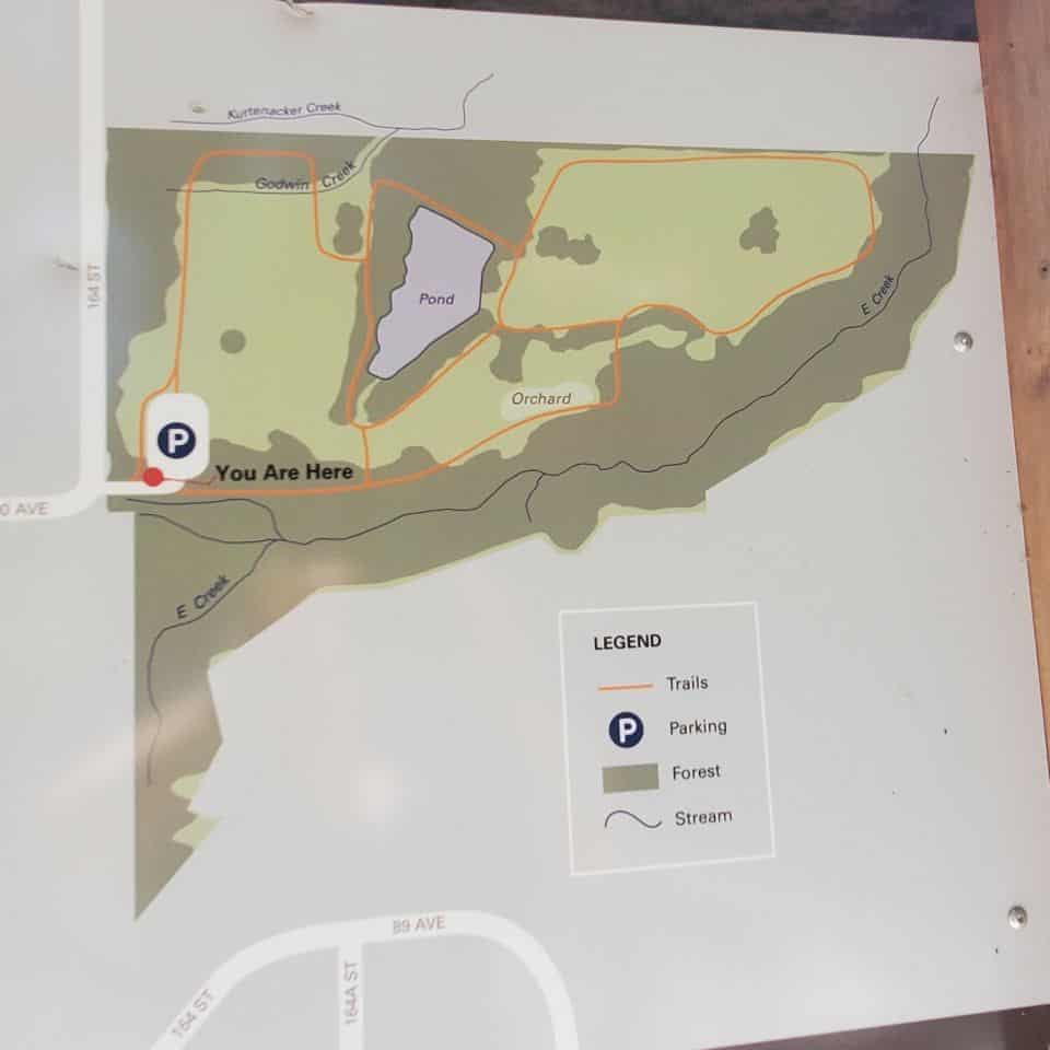 This is an overview of the Godwin Farm Biodiversity Preserve Park. It includes pasture fields and a pond. Birds can nest in the tall grasses beside the pond or find homes in the numerous trees.